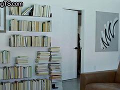 Anal, Nana, Gros seins, Sucer une bite, Érotique, Homosexuelle, Branlette thaïlandaise, Transsexuelle