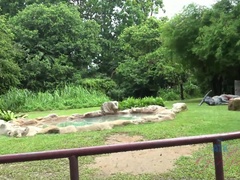 Amatör, Brunett, Fingering, Mat, Orgasm, Utomhus, Offentlig, Tuttar