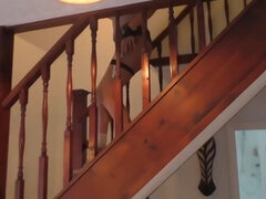 Brunetka, Cycata, Kompilacja, Słodka, Kutas, Fetysz, Hd, Cycki