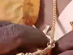 Velký zadek, Velké kozy, Kuřba, Pár, Homemade, Dospělé, Tabu