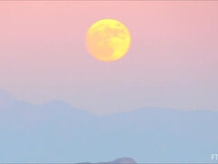 Anal, Closeup, Fetiche, Masturbação, Punhos, Solo chão, Brinquedos, Minissaia