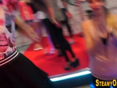 Zadek, Velké péro, Velké kozy, Kuřba, Roztomilá, České, Skupina, Hd