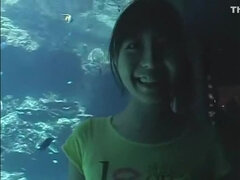 Tekintélyes didik, Kőkemény, Hd, Japán, Maszti, Szabadban, Egyedül, Hármas