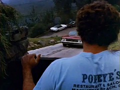 Kisbaba, Monumentális dákó, Szőke, Cumizás, Kőkemény, Pornósztárok, Begyek, Régebbi évjáratú pornó