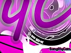 Amatőr, Tekintélyes didik, Szőke, Gesztenyebarna, Maszti, Tini, Begyek, Játékszerek