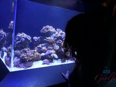 Amador amadora, Vestido, Namorada, Pontos de vista, Xoxota, Raspar depilar, Fumar, Minissaia