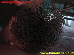 Humiliated Slaves - Porn babe