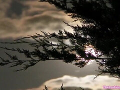 Grosse titten, Hardcore, Hd, Latina, Lesbisch, Milf, Im freien, Titten