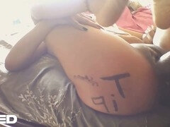 African, Velik kurac, Črnke, Rogonosec