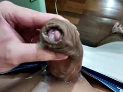 Amatéři, Velké péro, Stříkání spermatu, Fetiš, Gay, Honění, Teenka