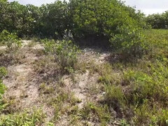 Strand, Grosser kitzler, Blasen, Kehlenfick, Selbstgemacht, Im freien, Muschi, Ehefrau