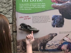 Amatőr, Fürdőszoba, Hatalmas hátsó, Gesztenyebarna, Nagylány, Szőrös, Leszbikus, Rövid haj