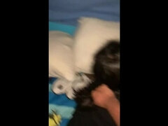 엉덩이, 큰 엉덩이, 흑갈색 머리, 사정 샷, 음경, 라티나, 셀카, 보지