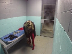 Bondage domination sadisme masochisme, Plantureuse, Femme dominatrice, Bâillonner, Hd, Mère que j'aimerais baiser, Tatouage, Nénés