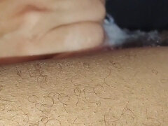 Črnke, Fafanje, Domaci pornič, Latinka