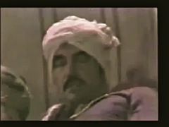 Biseksuaali, Homo, Rankka, Laiha, Tissit