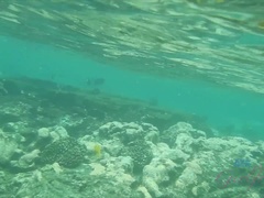 Ερασιτέχνης, Χύσιμο, Μαλακία με το πόδι, Μαλακία, Λάδι, Οργασμός, Εκτός, Υγρό