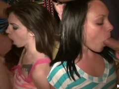 Děvka, Kuřba, Skupina, Hardcore, Párty, Pička, Teenka, Kozičky