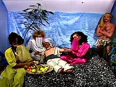 Hollantilainen, Fetissi, Kääpiö, Vuosikerta