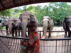 Homemade porn video with big ass Thai girlfriend