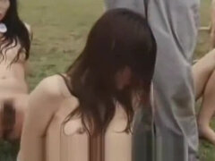 Ázsiai, Tekintélyes didik, Gesztenyebarna, Kőkemény, Japán, Érett koros, Rab, Tini