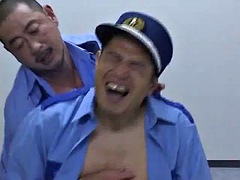 Amatéri, Ázijskej, Gay, Hardcore, Kancelária, Z pohľadu účastníka, Zastarané