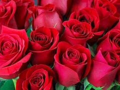 Bangladeshi mature cougar with big natural tits