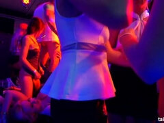 Verga grande, Tetas grandes, Mamada, Vestidas, Grupo, Pajear, Orgía, Fiesta