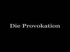 Sadomasochismus, Deutsch