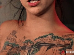 Anál, Kuřba, Šaty, Na tvár, Okuliare, Výprask, Pička, Tetovanie