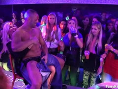 Táncolás, Kutya póz, Kézimunka, Fajok közötti, Bőr, Bugyi, Szopás, Swingers