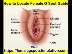 Ερασιτέχνης, Μωρό, Θηλυκός