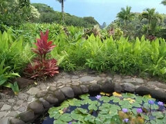 엉덩이, 해변, 오랄섹스, 피어싱, 셀카, 공개적인, 보지, 빼빼한