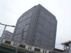 Japanische massage, Spielzeuge