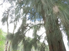 Fisting, Masturbácia, Orgazmus, Na verejnosti, Sólo, Hračky