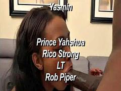 Iso kulli, Musta, Kermakakku, Tumma, Selkäsauna