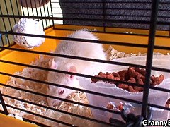 Old mature neighbor sucks and rides his big dick