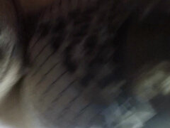 Πίπα, Ζευγάρι, Σπιτικό, Τρανσέξουαλ