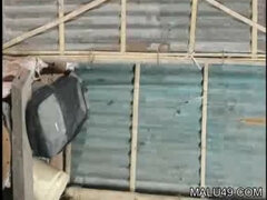 Μελαχροινή, Ηδ, Ινδιάνος