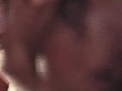 Iso perse, Suihinotto, Pillu, Retro, Vuosikerta