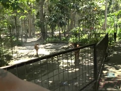 Blondína, Kuřba, Creampie, Footjob, Priateľka, Z pohľadu účastníka, Vyholené, Kozičky