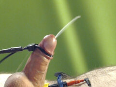 Amatéri, Anál, Kompilácia, Striekanie semena, Fetiš, Masturbácia