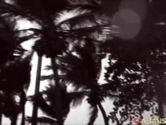 Asiatisch, Blasen, Braunhaarige, Besamung, Schwanz, Hardcore, Titten