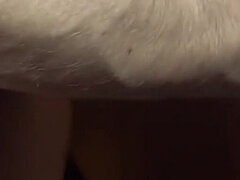 Amatoriale, Bella, Culo grosso, Pompino, Latina, Punto di vista pov, Tatuaggi, Tette