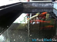 Baben, Bukkake, Ebenholts, Ansiktsbehandling, Gangbang, Hd, Mellanrasig, Student