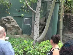 Amaterji, Fafanje, Rjavolaska, Footjob, Girlfriend, Latinka, Muco, Koščena