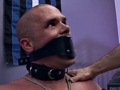 Bondage disciplina dominação submissão sadismo e masoquismo, Fetiche, Gay bicha veado, Músculo