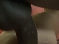 Anal, Rumpa, Vacker, Cougar, Dildo, Mellanrasig, Mogen, Milf