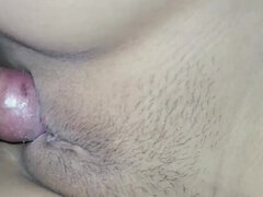 18 anos, Anal, Asiáticoa, Gordinho, Casal, Indianoa, Xoxota, Apertado