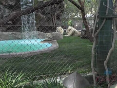 Watch Stevie bathe after a long date in Vegas